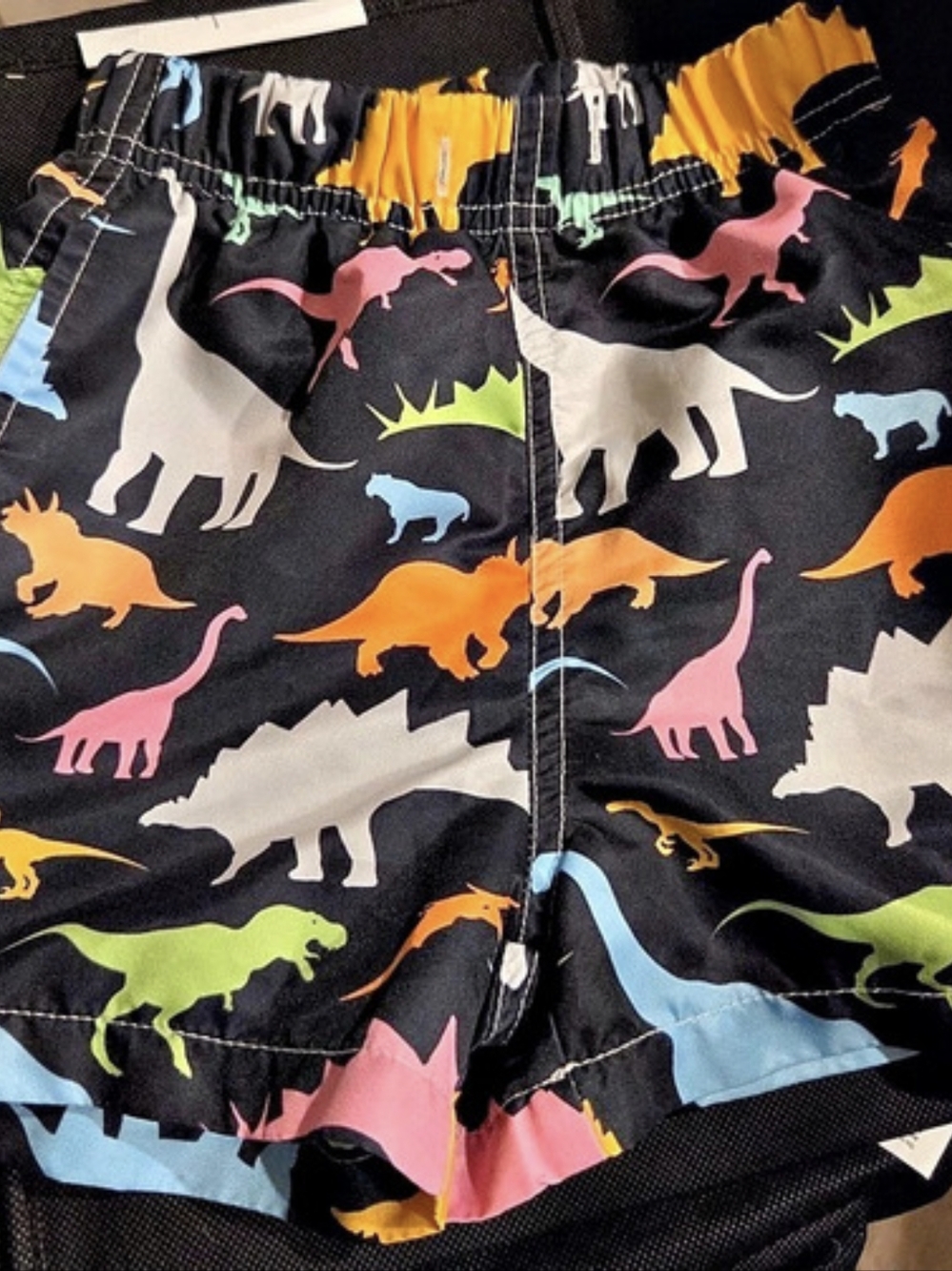 Kids Dinosaur Swim Trunks Black & Multicolor 3T